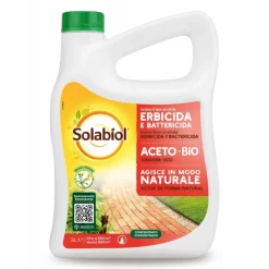 SBM Aceto Concentrato 3 l