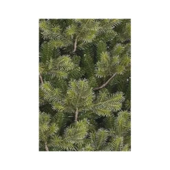 Edelman Albero di Natale Clive Slim Verde h230 Ø122m PE+PVC