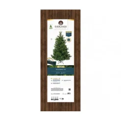 Kaemingk Albero di Natale Nordmann h210Ø150cm PE+PVC