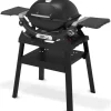 Weber Barbecue a Gas Q 1200N Con Stand Black Cod. 1501087