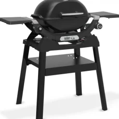 Weber Barbecue a Gas Q 1200N Con Stand Black Cod. 1501087