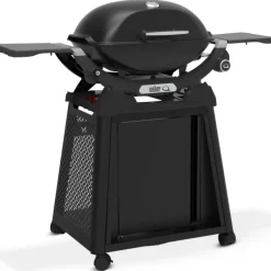 Weber Barbecue a Gas Q 2200N Con Carrello Black Cod. 1501110