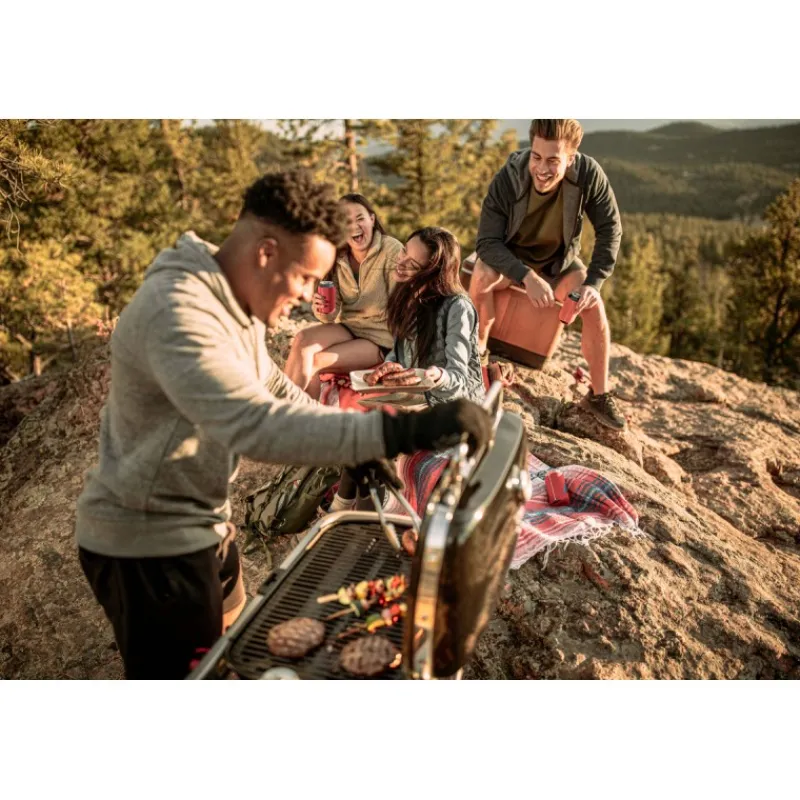 Weber Barbecue a Gas Traveler Black Cod. 9010053