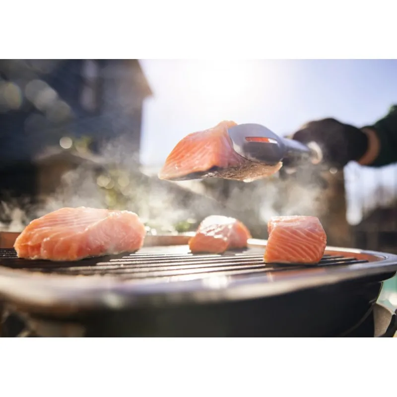 Weber Barbecue Elettrico Lumin Crimson Red Cod. 92040953