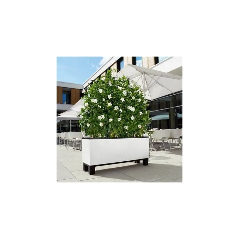 Lechuza Base con Piedi per Fioriera Trio 30