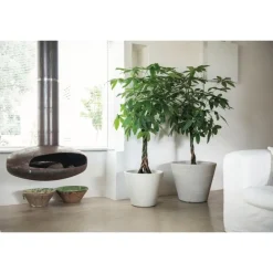 Vasar Campana Shabby Rigata