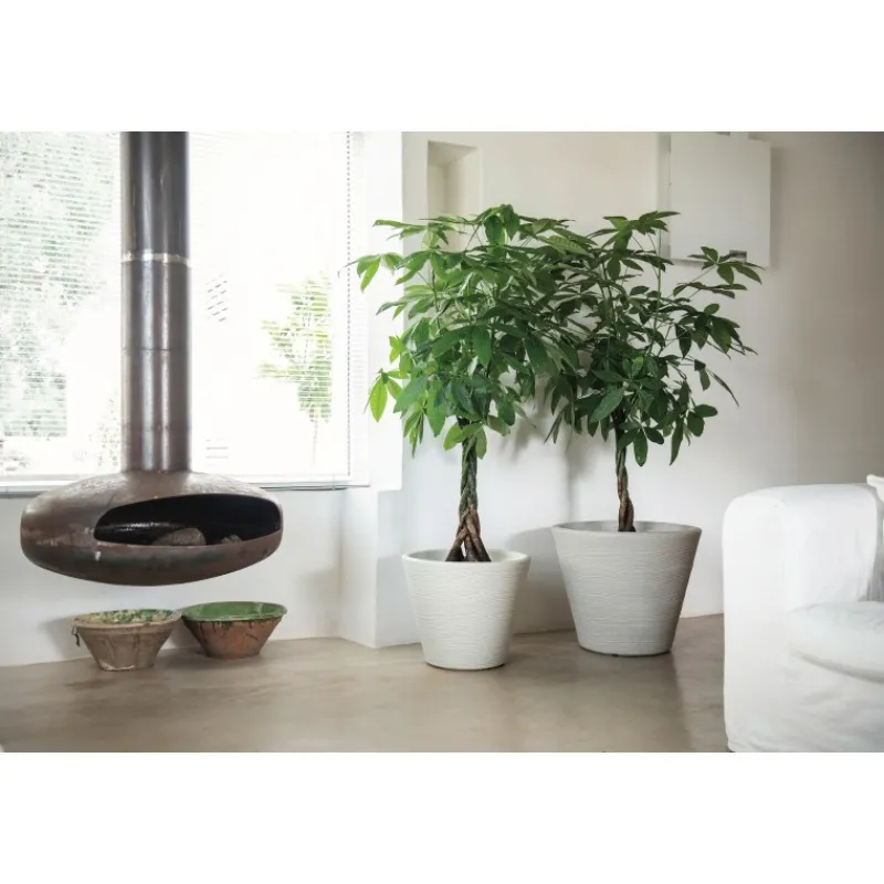 Vasar Campana Shabby Rigata