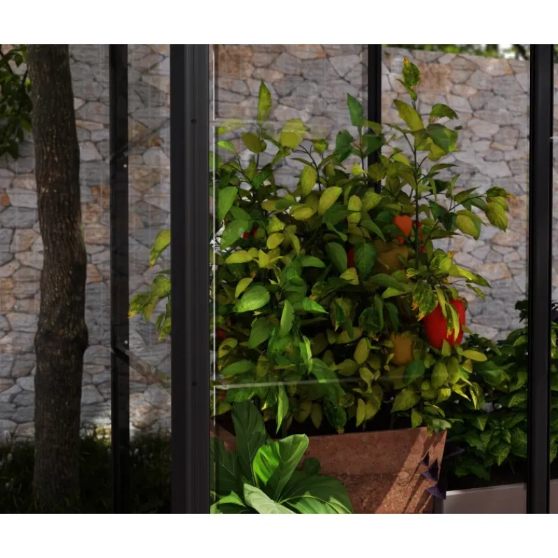 Canopia Ivy Mini Serra Da Giardino in Policarbonato 124X64X150 cm