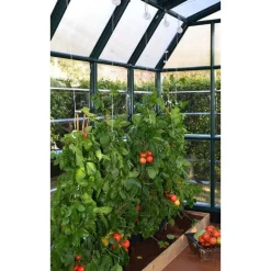 Canopia Kit Traliccio Per Serra