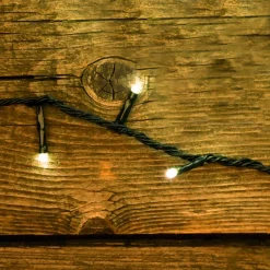 Lotti Catena TLE 450 LED BIANCO CALDO