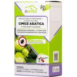 InVerde Erogatore di Feromone con Attrattivo per Cimice Asiatica