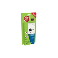 SBM Fastion Box Scarafaggi 5 g