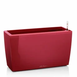 Lechuza Fioriera Cararo 75 Set Completo