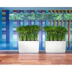 Lechuza Fioriera Cararo 75 Set Completo