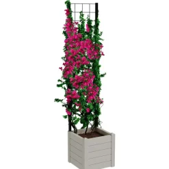 Teraplast Fioriera Trama 001