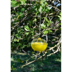 InVerde Kit Trappola MELATRAP + VESPOKIL