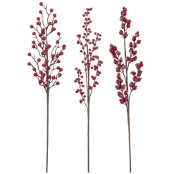 Edelman Ramo con Bacche Rosse 67 cm. Pezzo Singolo.