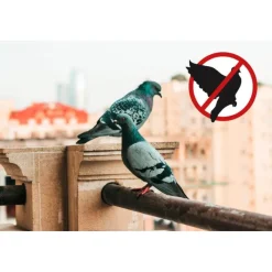 Stocker Geyser Nebulizzatore Mini 2 L Li-Ion 2,5 Br per Zanzare e Piccioni