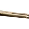 Stocker Reggipiante in bambù 6 8 mm 60 cm