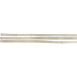 Stocker Tutori in bambù sfusi 150 / diametro 22 24 - 1 pezzo