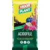 Vigorplant Terriccio Acidofile 25 litri