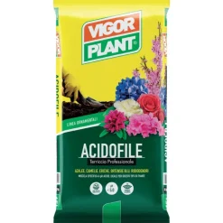 Vigorplant Terriccio Acidofile 20 litri