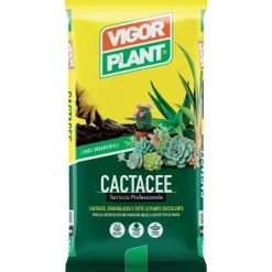 Vigorplant Terriccio Cactacee 20 litri