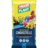 Vigorplant Terriccio Cinquestelle 10 litri