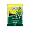 Vigorplant Terriccio Piante Verdi 10 litri