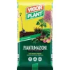 Vigorplant Terriccio Piantumazioni 45 litri