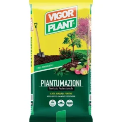 Vigorplant Terriccio Piantumazioni 70 litri