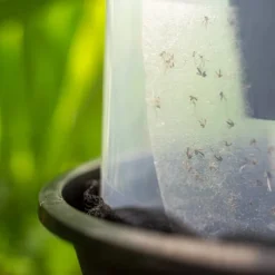 Biogents Trappola da esterno per zanzara tigre BG-GAT Reflect-tech (X2)