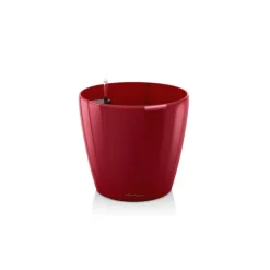 Lechuza Vaso Classico Premium 50 Set Completo