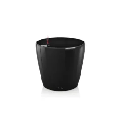 Lechuza Vaso Classico Premium 43 Set Completo