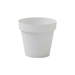 Veca Vaso Cleo Rotondo