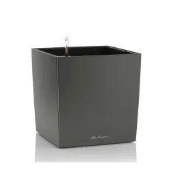 Lechuza Vaso Cube 30 Set Completo