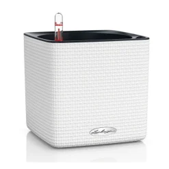 Lechuza Vaso Cube Color 16 Set Completo