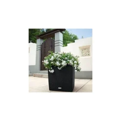 Lechuza Vaso Cube Cottage 40 Set Completo