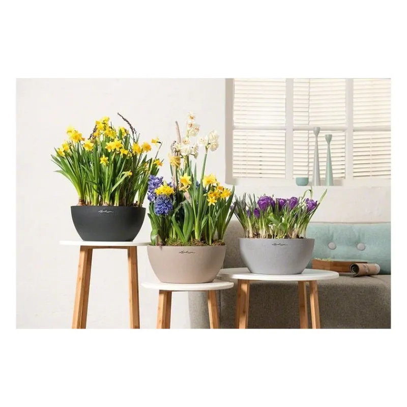 Lechuza Vaso Cubeto 40 Set Completo