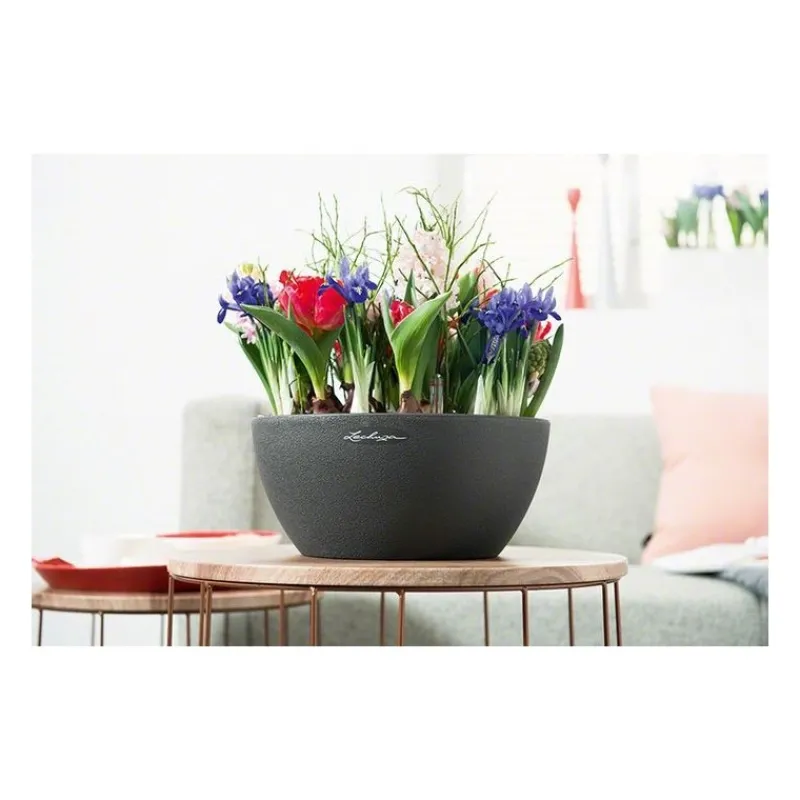 Lechuza Vaso Cubeto 40 Set Completo