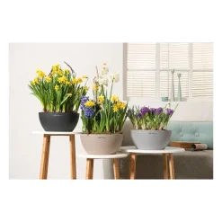 Lechuza Vaso Cubeto 30 Set Completo