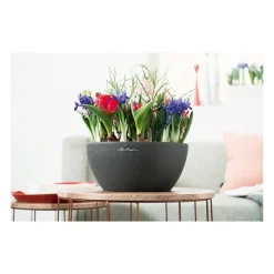 Lechuza Vaso Cubeto 30 Set Completo