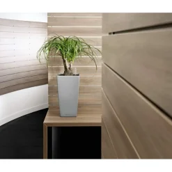 Lechuza Vaso Cubico Premium 22 Set Completo