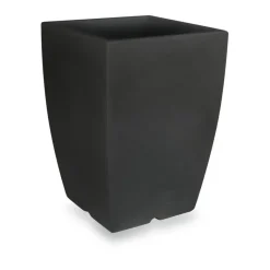 Veca Vaso Genesis Quadro