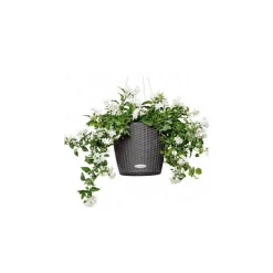 Lechuza Vaso Nido Cottage Set Completo