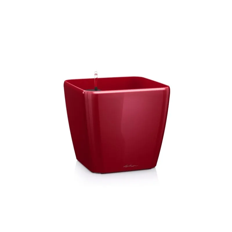 Lechuza Vaso Quadro Premium 28 Set Completo