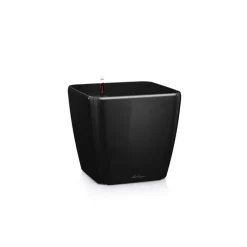 Lechuza Vaso Quadro Premium 28 Set Completo