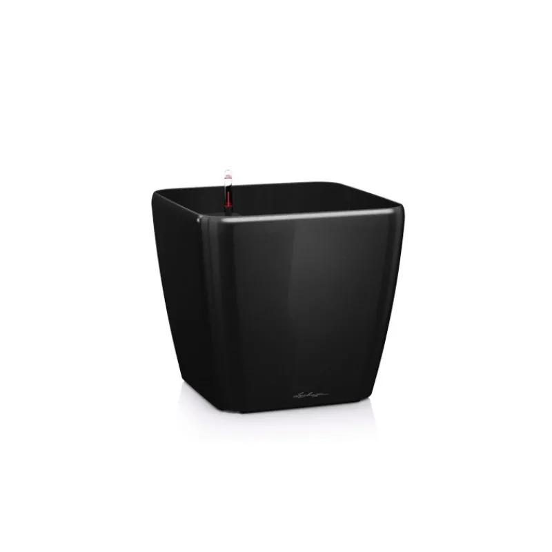 Lechuza Vaso Quadro Premium 28 Set Completo