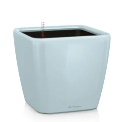 Lechuza Vaso Quadro Premium 21 Set Completo