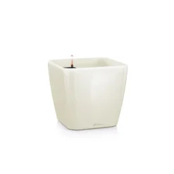 Lechuza Vaso Quadro Premium 50 Set Completo